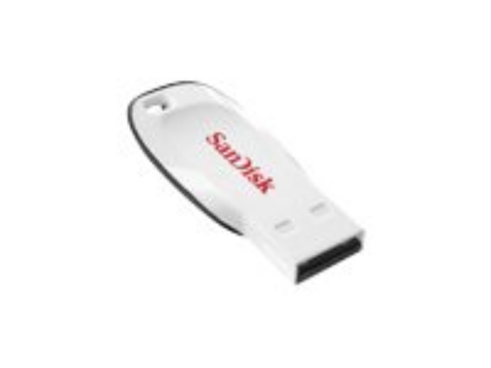 Bild på SanDisk Cruzer Blade
