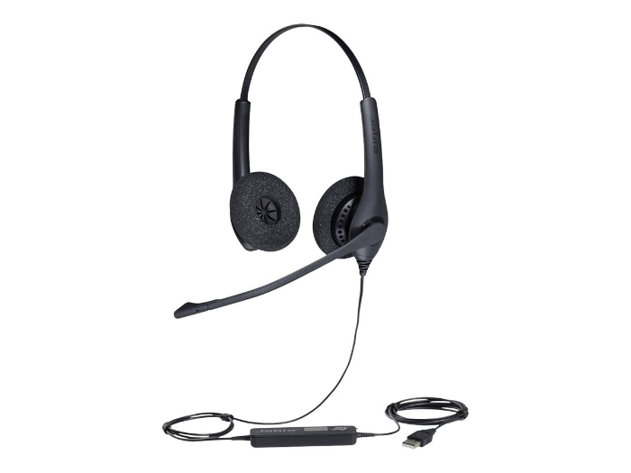 Bild på Jabra BIZ 1500 Duo