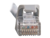 Bild på C2G Cat6 Booted Unshielded (UTP) Network Patch Cable