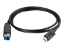 Bild på C2G 3m USB 3.1 Gen 1 USB Type C to USB B Cable M/M