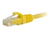 Bild på C2G Cat6 Booted Unshielded (UTP) Network Patch Cable