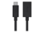 Bild på Belkin 3.0 USB-C to USB-A Adapter