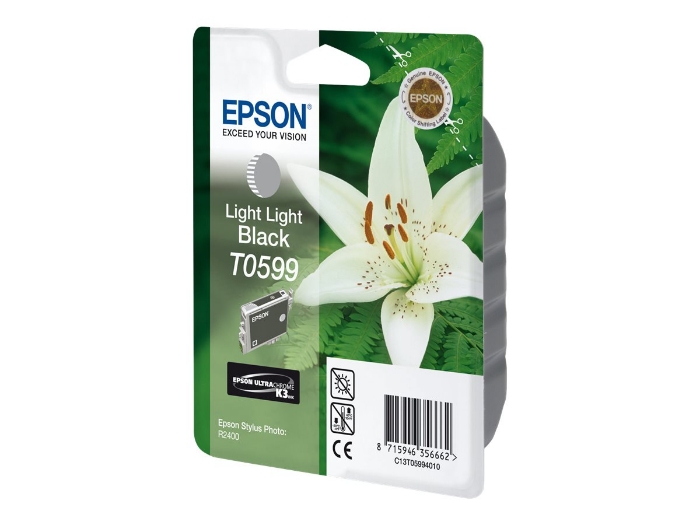 Bild på Epson T0599
