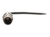 Bild på C2G 18in 3.5mm TRS 3 Position Balanced to XLR Cable
