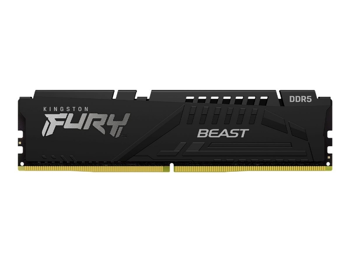 Bild på Kingston FURY Beast