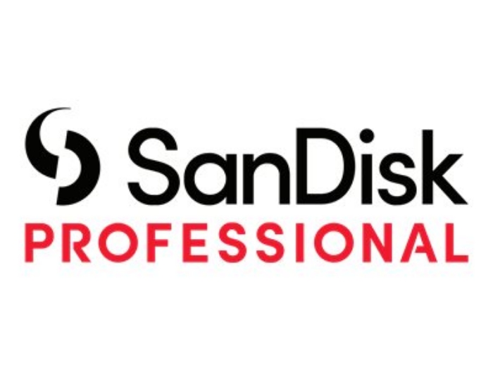Bild på SanDisk Professional PRO-BLADE