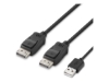 Bild på Belkin Secure Modular DP Dual Head Host Cable