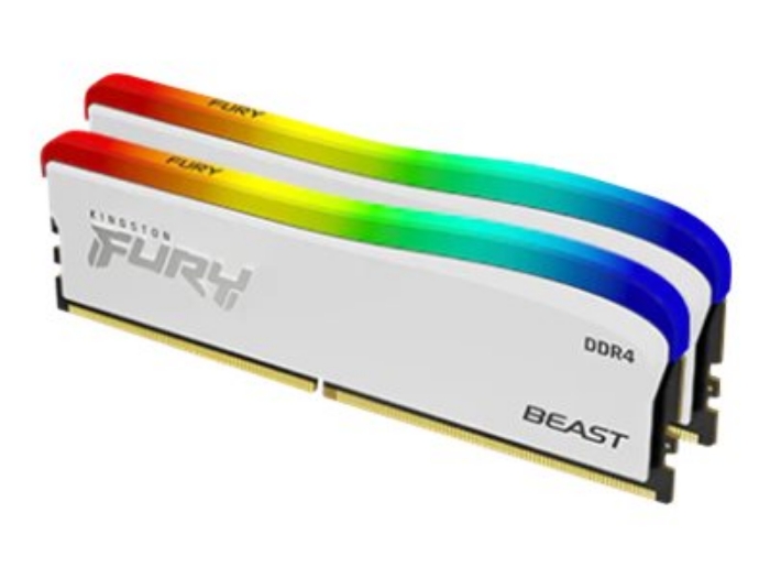 Bild på Kingston FURY Beast