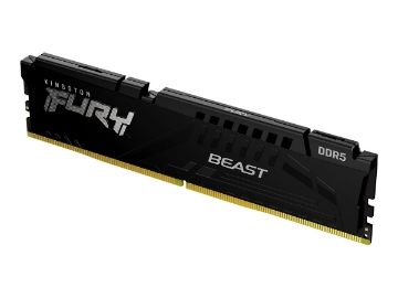 Bild på Kingston FURY Beast