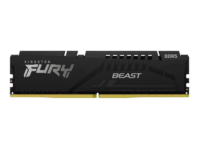 Bild på Kingston FURY Beast