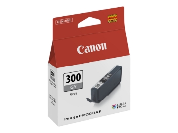 Bild på Canon PFI-300 GY