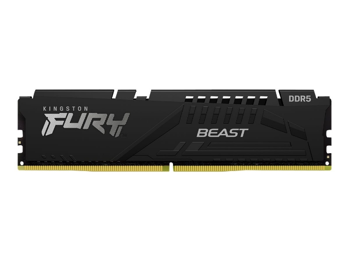 Bild på Kingston FURY Beast