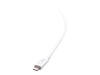 Bild på C2G 10ft (3m) USB-C Male to Lightning Male Sync and Charging Cable