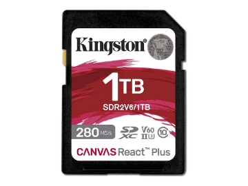 Bild på Kingston Canvas React Plus