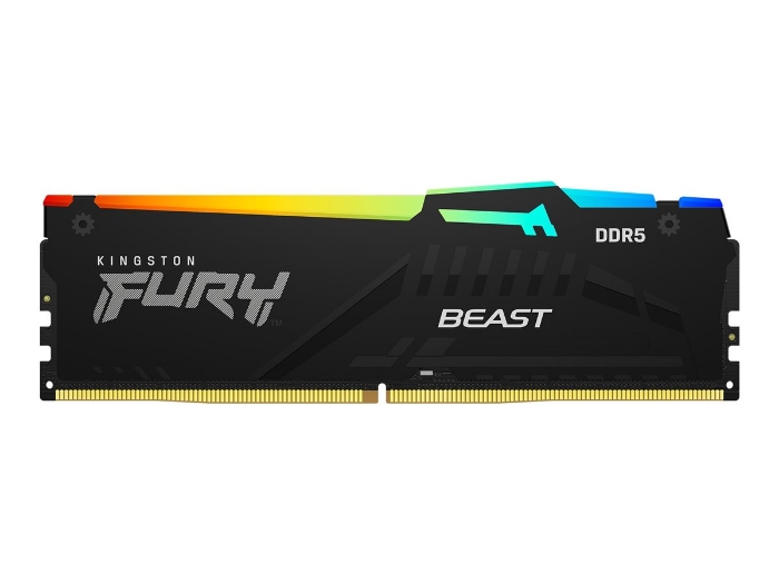 Bild på Kingston FURY Beast RGB