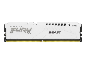 Bild på Kingston FURY Beast