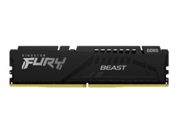 Bild på Kingston FURY Beast
