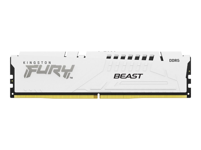Bild på Kingston FURY Beast