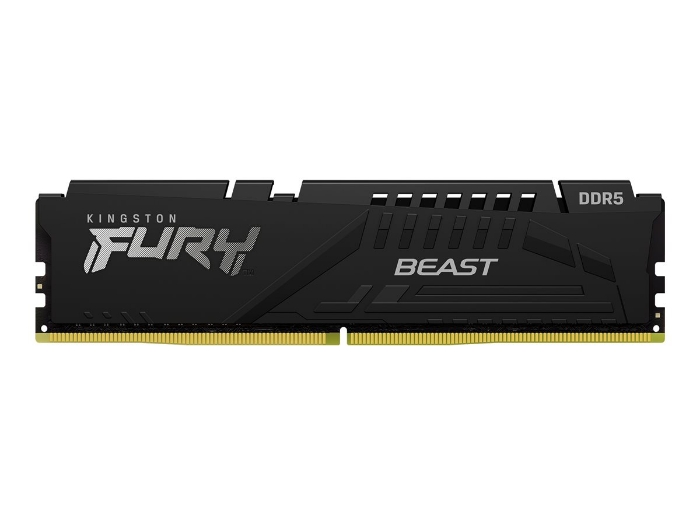 Bild på Kingston FURY Beast